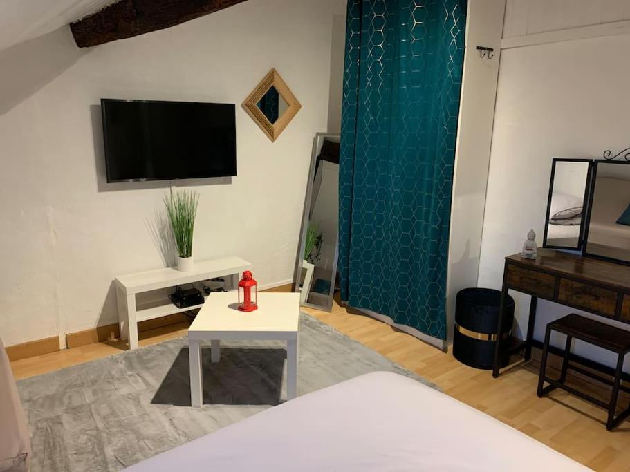 Apartment Hyper Centre Historique Emplacement N°1 #cocooning Nantes
